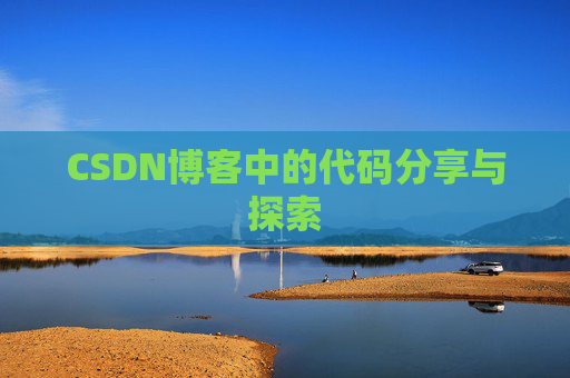 CSDN博客中的代码分享与探索